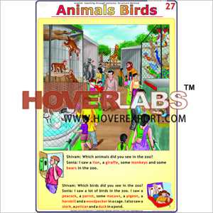 Animal - Birds