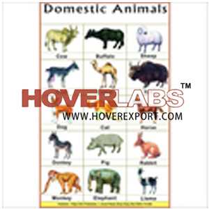 Domestic Animals India, Manufacturers, Suppliers & Exporters in India