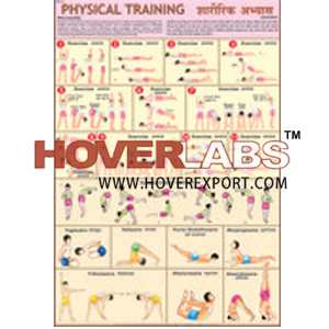 Physical Training (P.T) Chart
