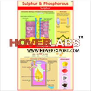 Sulphur & Phosphorous