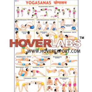 Large Yogasana Chart
