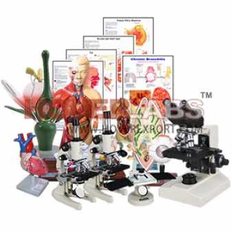 Educational Equipments