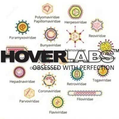 Classification of Virus Model