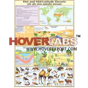 Hot & Mid-Latitude Deserts Chart