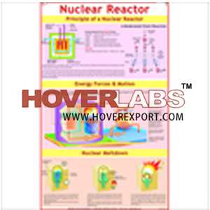 Nuclear Reactor