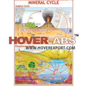 Mineral Cycle
