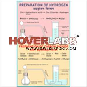 Preparation of Hydrogen & Carbon Dioxide