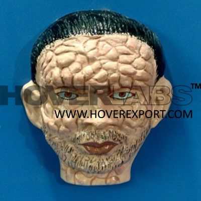 Leprosy Face Model