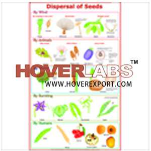 Dispersal of Fruits & Seeds