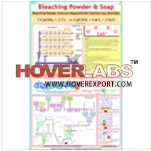 Manufacture of Bleaching Powder & Soap