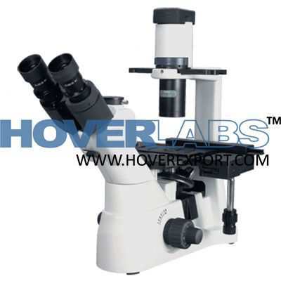Inverted Fluorescence Microscopes