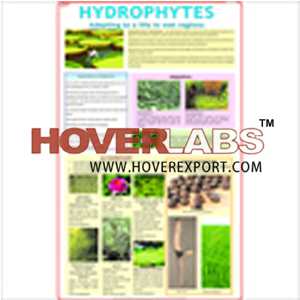 Hydrophytes