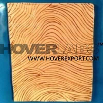 Fingerprint Arch Model