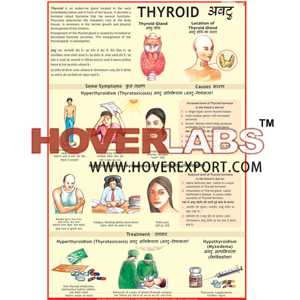 Thyroid